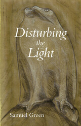 front cover of Disturbing the Light