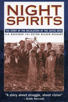 front cover of Night Spirits
