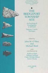 front cover of The Bridgeport Township Site