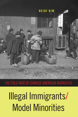 front cover of Illegal Immigrants/Model Minorities