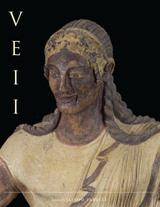 front cover of Veii