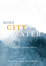 front cover of More City than Water
