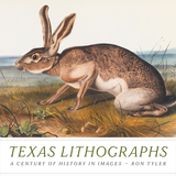 front cover of Texas Lithographs