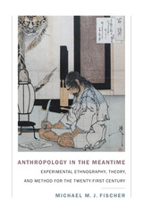 front cover of Anthropology in the Meantime