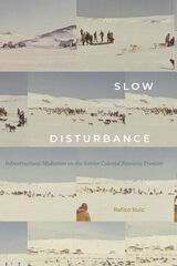 front cover of Slow Disturbance