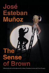 front cover of The Sense of Brown