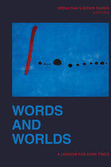 front cover of Words and Worlds
