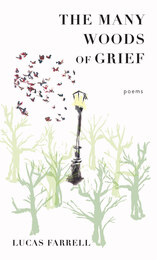 front cover of The Many Woods of Grief