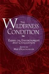 front cover of The Wilderness Condition
