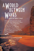 front cover of A World Between Waves
