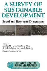 front cover of A Survey of Sustainable Development