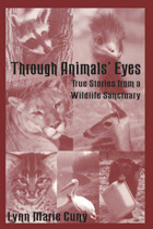 front cover of Through Animals' Eyes
