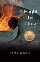 front cover of A Bright Soothing Noise