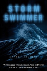 front cover of Storm Swimmer
