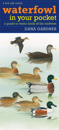 Waterfowl in Your Pocket: A Guide to Water Birds of the Midwest