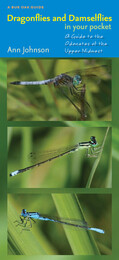front cover of Dragonflies and Damselflies in Your Pocket