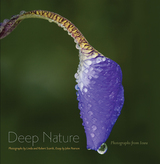 front cover of Deep Nature
