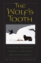 front cover of The Wolf's Tooth