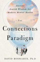 front cover of The Connections Paradigm