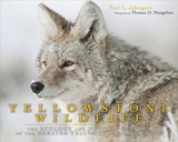 front cover of Yellowstone Wildlife