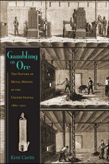 front cover of Gambling on Ore