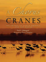 front cover of A Chorus of Cranes