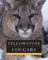 front cover of Yellowstone Cougars