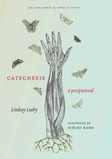 front cover of Catechesis