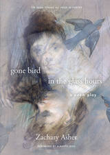 front cover of gone bird in the glass hours