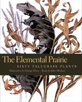 front cover of The Elemental Prairie