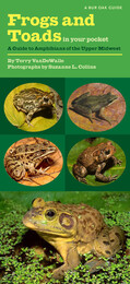 front cover of Frogs and Toads in Your Pocket