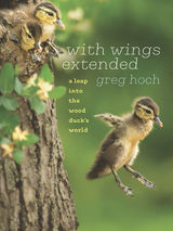 front cover of With Wings Extended
