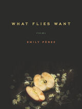 front cover of What Flies Want