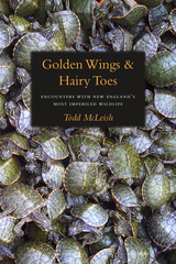 front cover of Golden Wings & Hairy Toes
