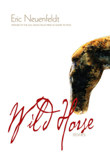 front cover of Wild Horse