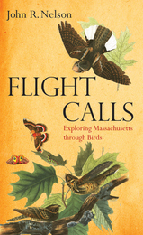 front cover of Flight Calls