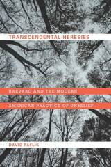 front cover of Transcendental Heresies