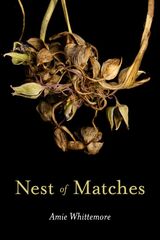 front cover of Nest of Matches