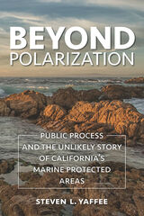 front cover of Beyond Polarization