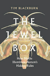 front cover of The Jewel Box