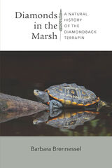 front cover of Diamonds in the Marsh