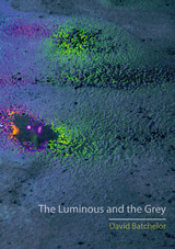 front cover of The Luminous and the Grey