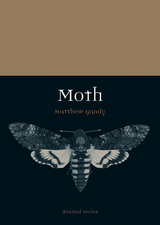 front cover of Moth