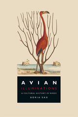 front cover of Avian Illuminations