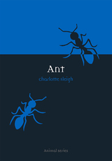 front cover of Ant