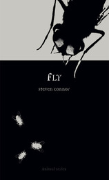 front cover of Fly