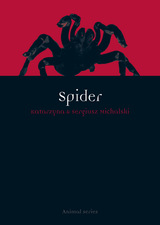 front cover of Spider