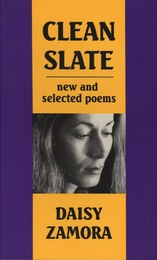front cover of Clean Slate