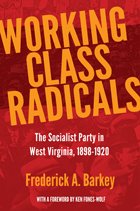 front cover of Working Class Radicals