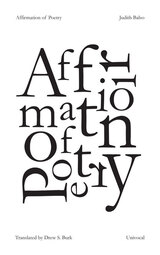 front cover of Affirmation of Poetry